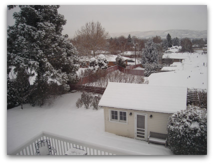 Snowfall 2009.jpg